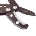 LU-KCATA_4